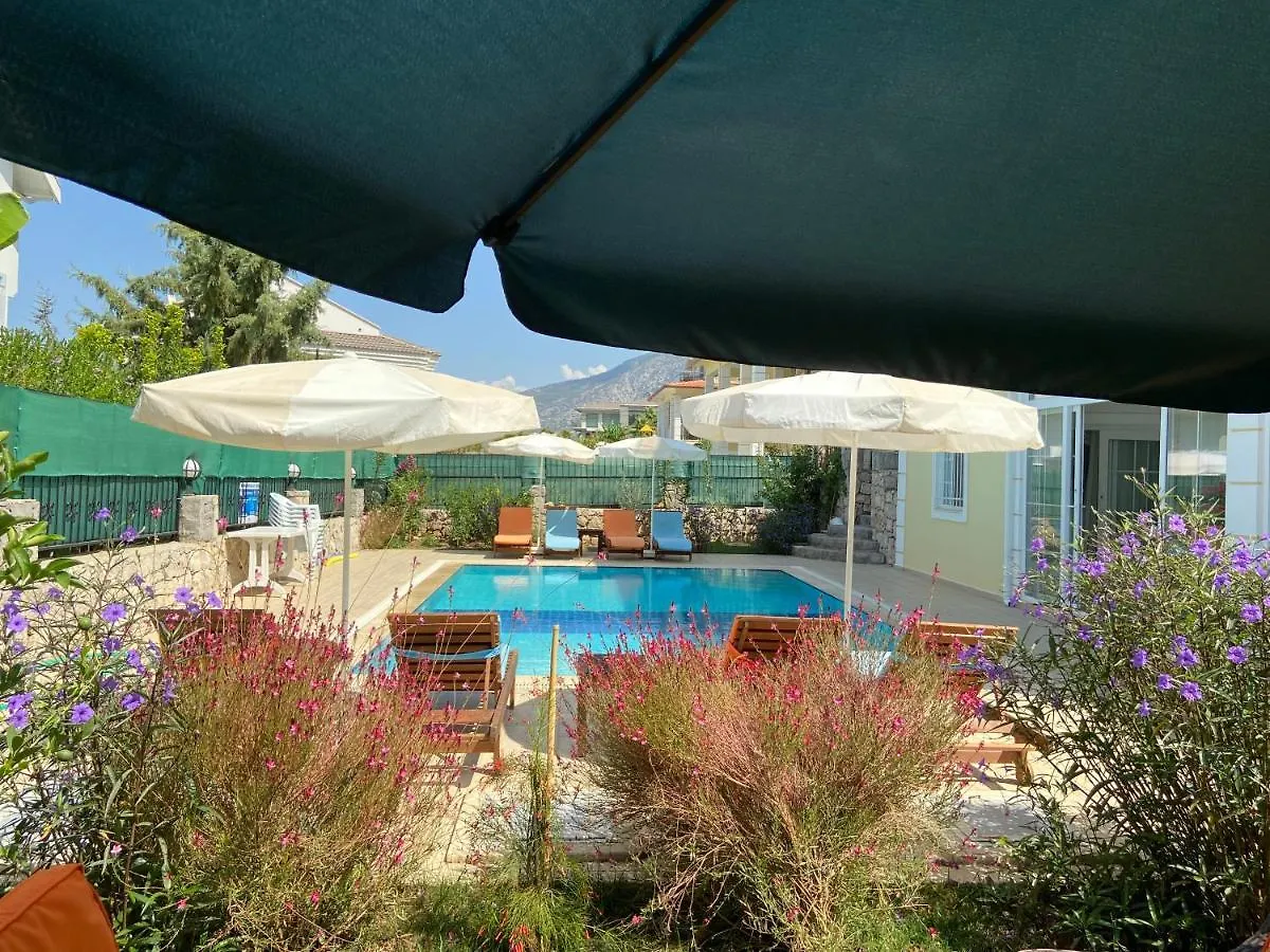 Alpine Villa At Hisaroenue Oeluedeniz Ovacik Fethiye 6+2, 12 People Турция